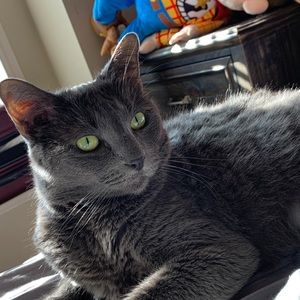 Meet your Posher, Emily